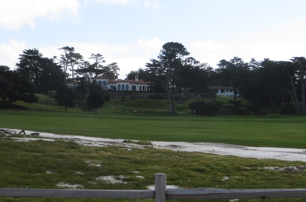 Professional golf tournament with players competing on green course